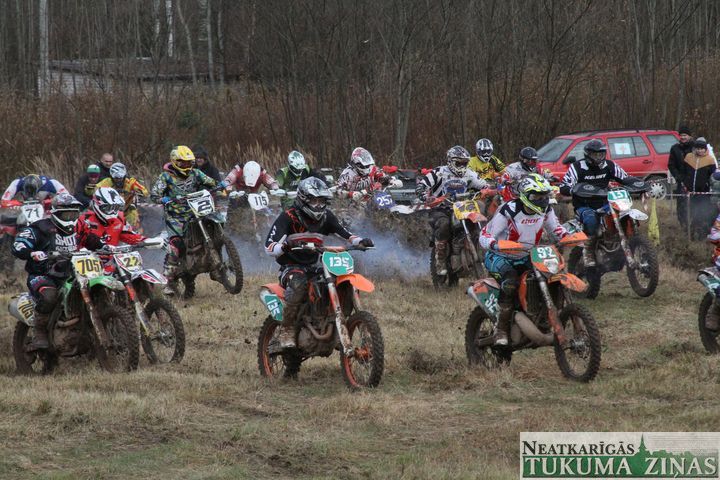 Gallery image 178010