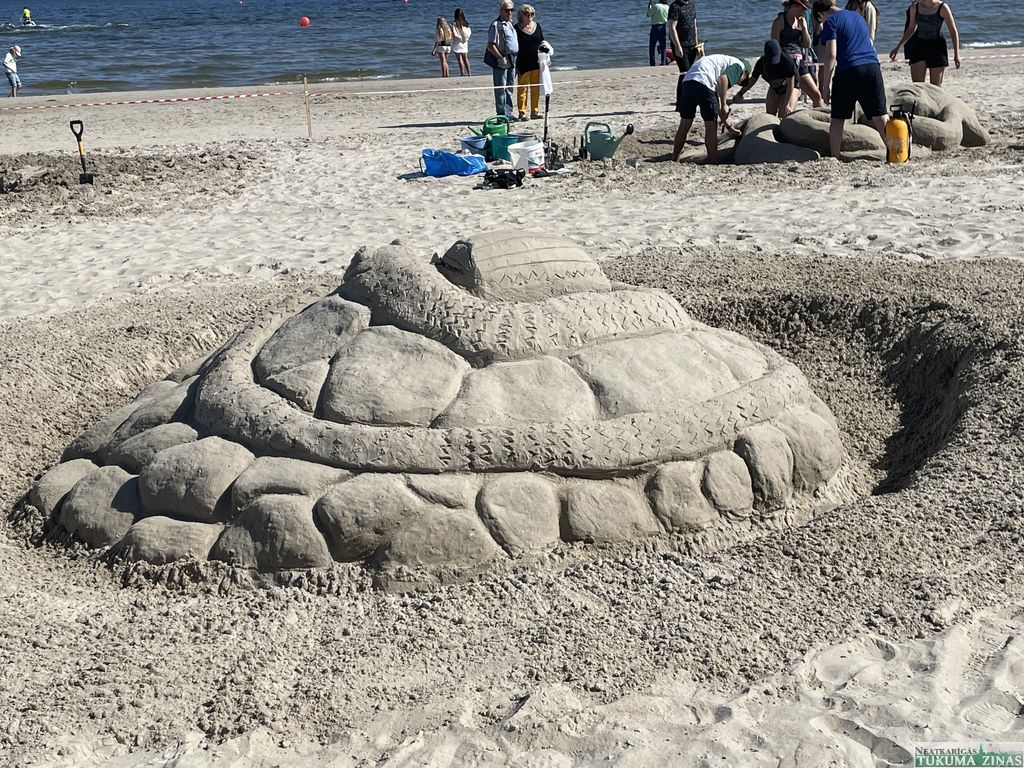 Gallery image 156795