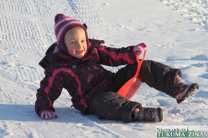 Gallery image 182391