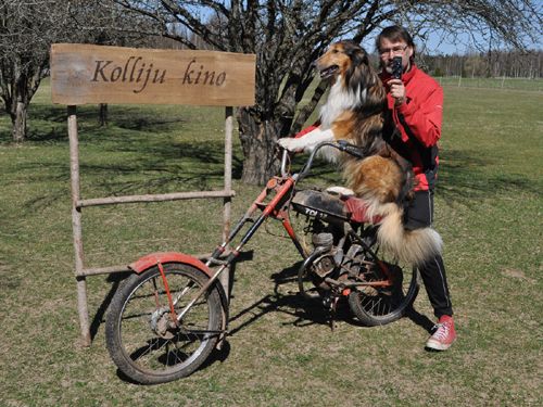 Jauna sezona un jaunas idejas Kolliju fermā