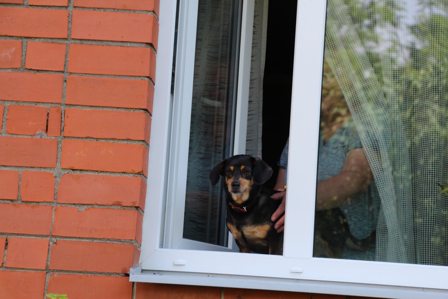 Gallery image 159122