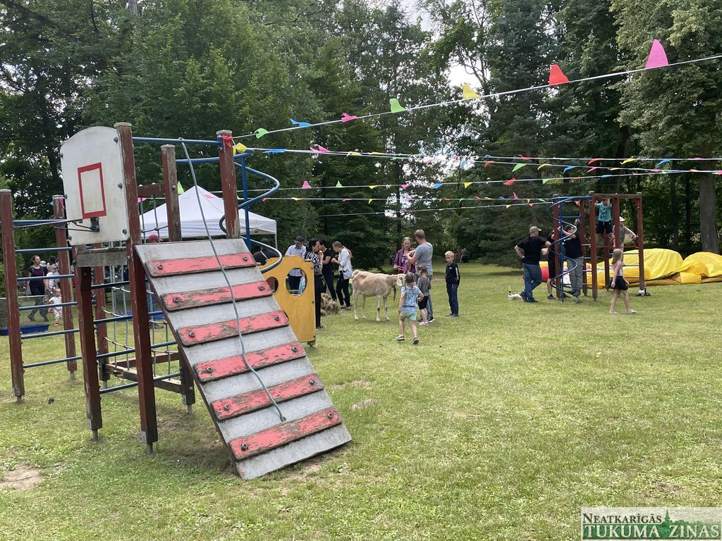 Gallery image 155572