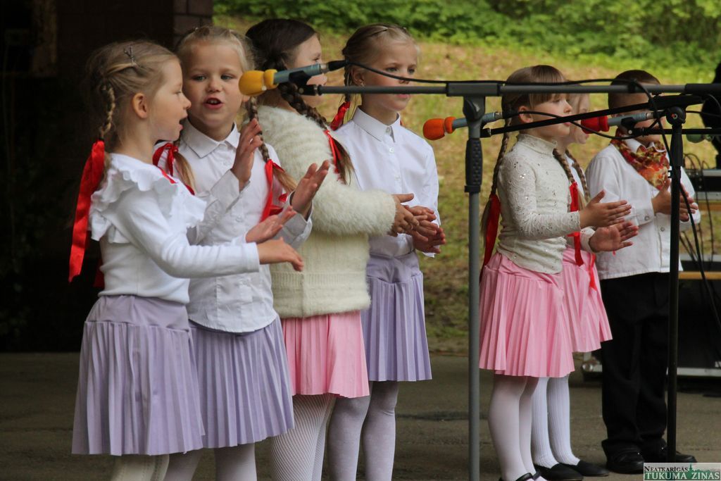 Dziesmu un deju lietus Irlavā