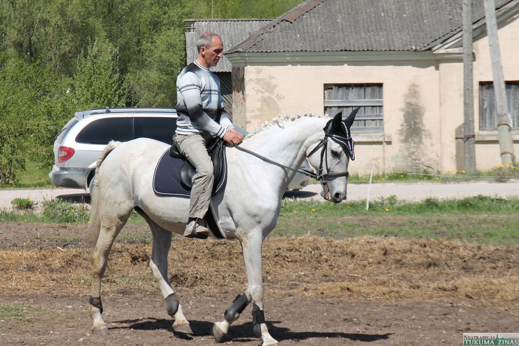 Gallery image 160529