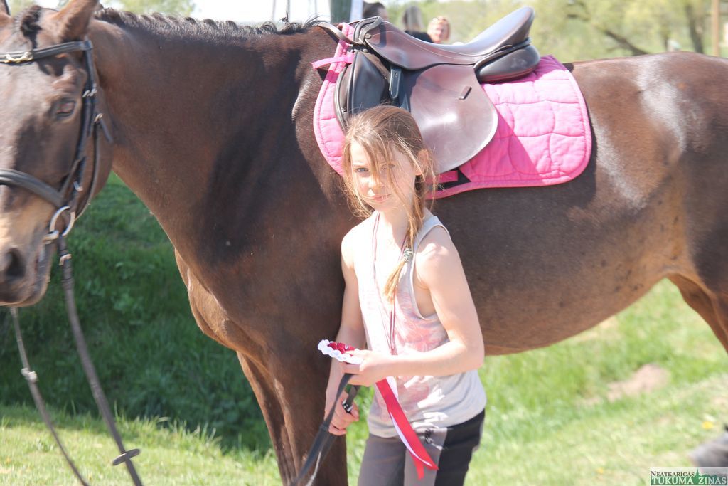 Gallery image 160527