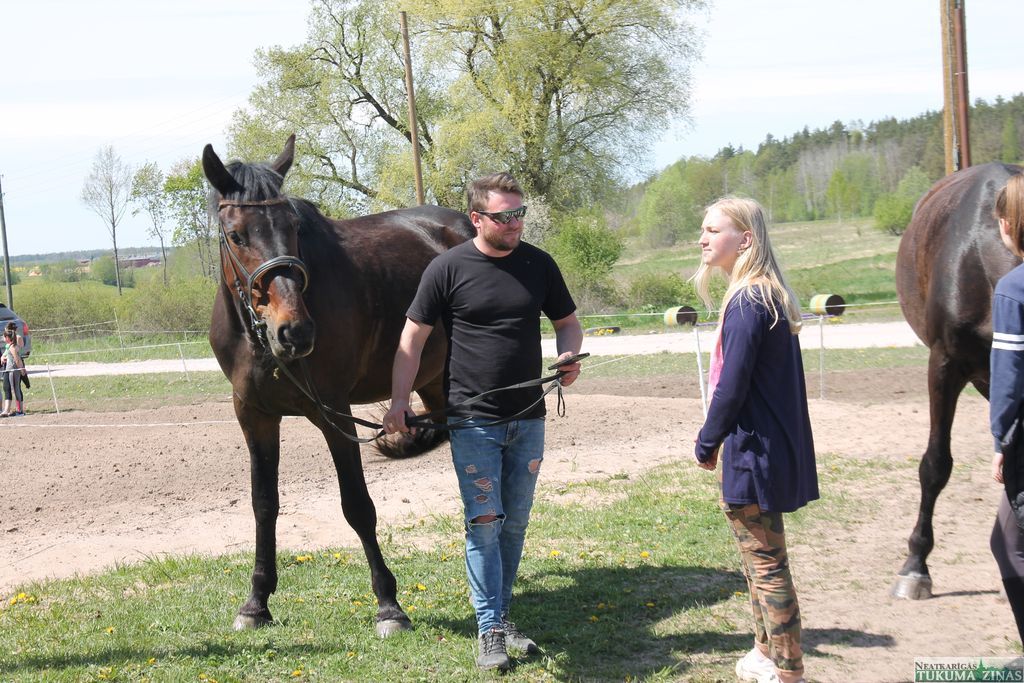 Gallery image 160530