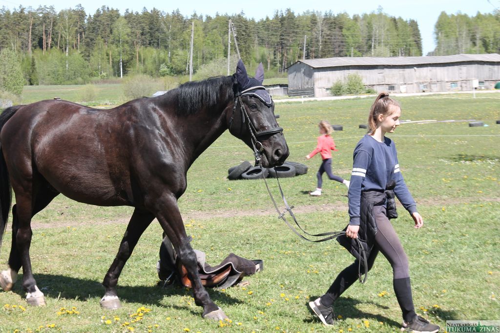 Gallery image 160528