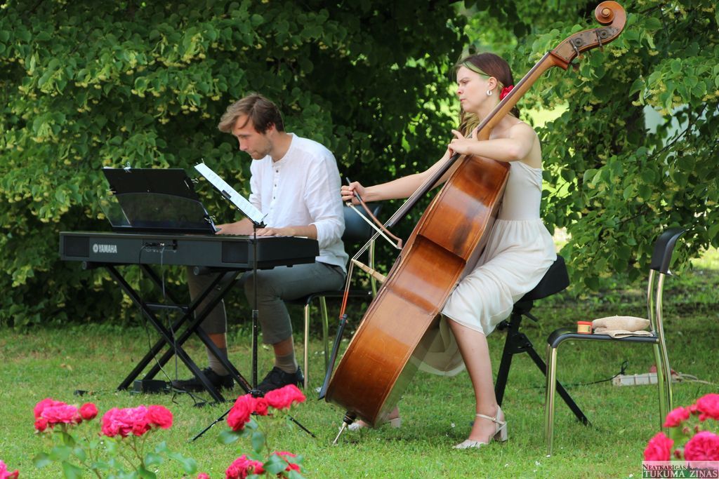 Gallery image 159803