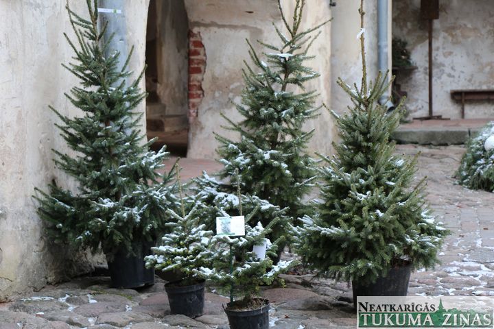 Gallery image 161097