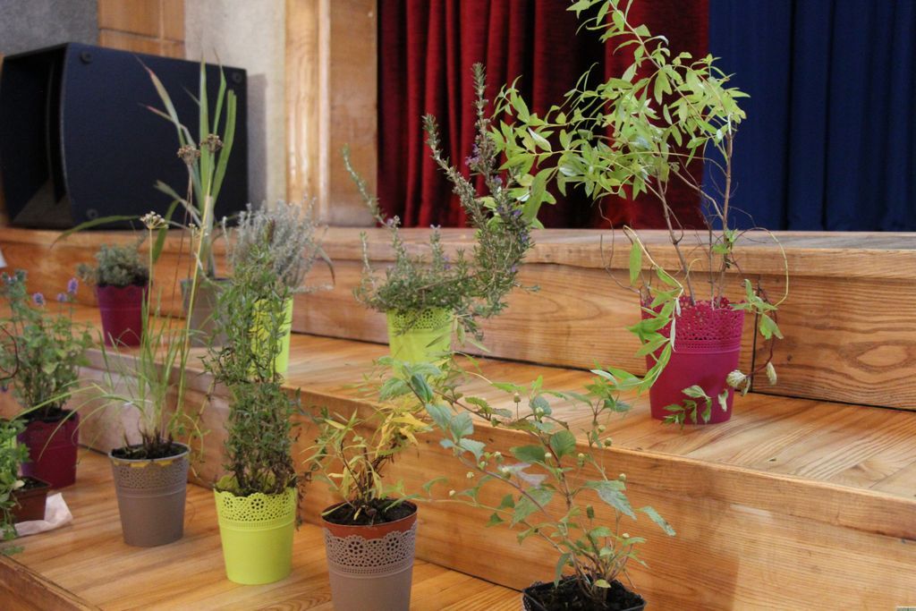 Jaunpilī godināti sakopto sētu saimnieki