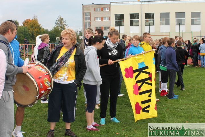 Gallery image 253097