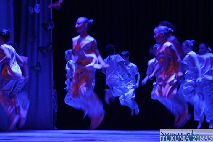 Gallery image 178933