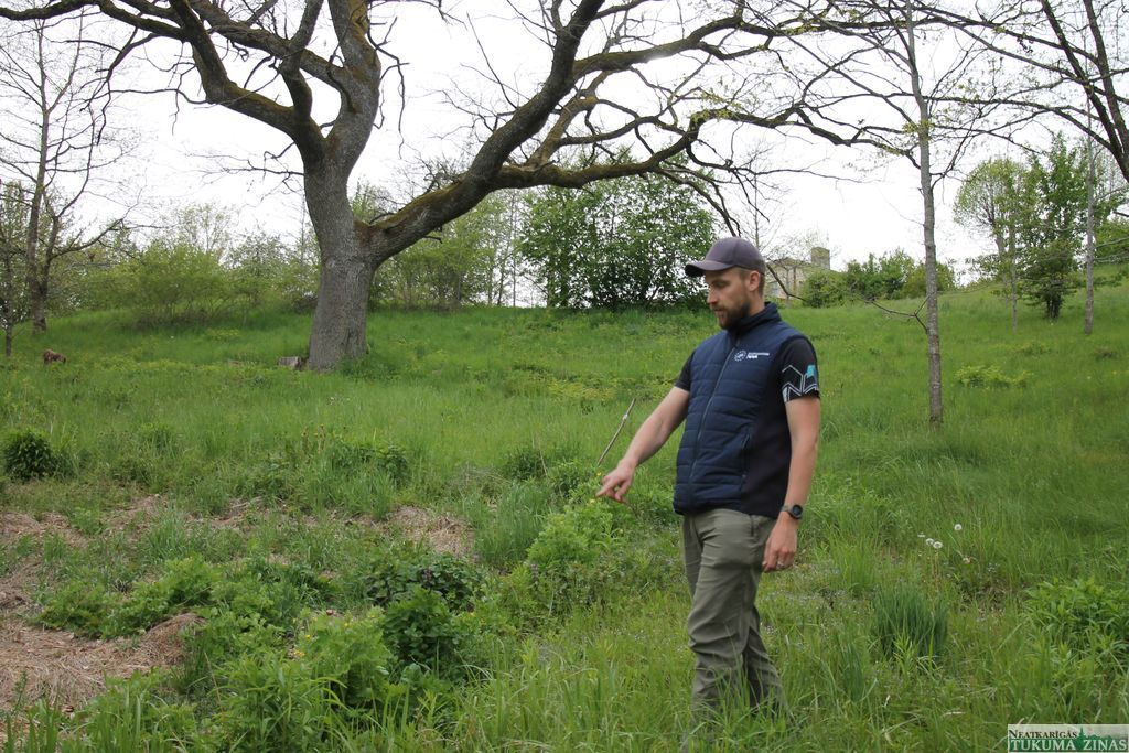 Gallery image 153843