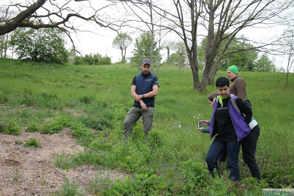 Gallery image 153845