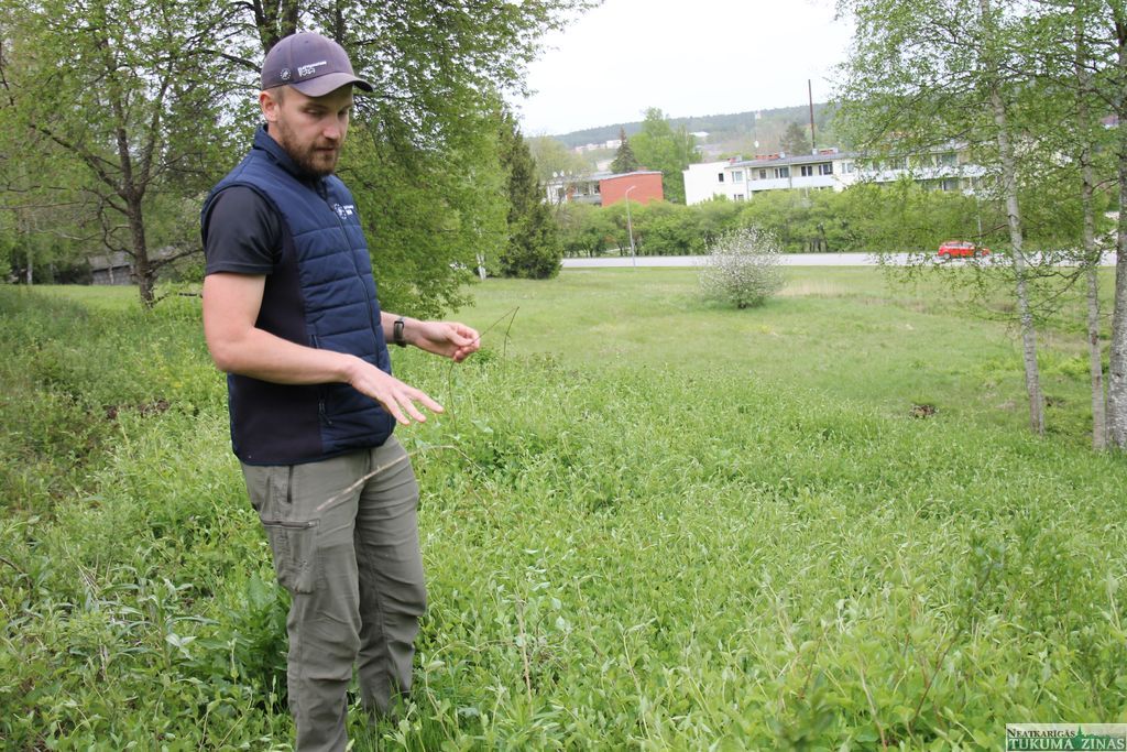 Gallery image 153846