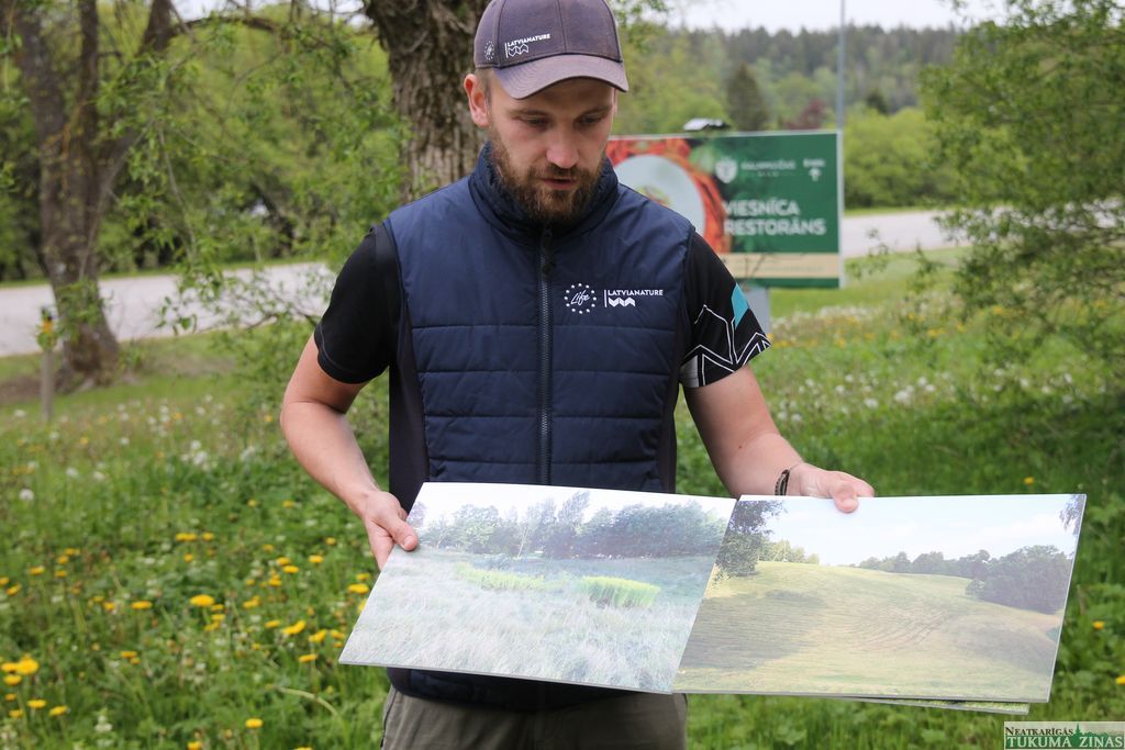 Gallery image 153841