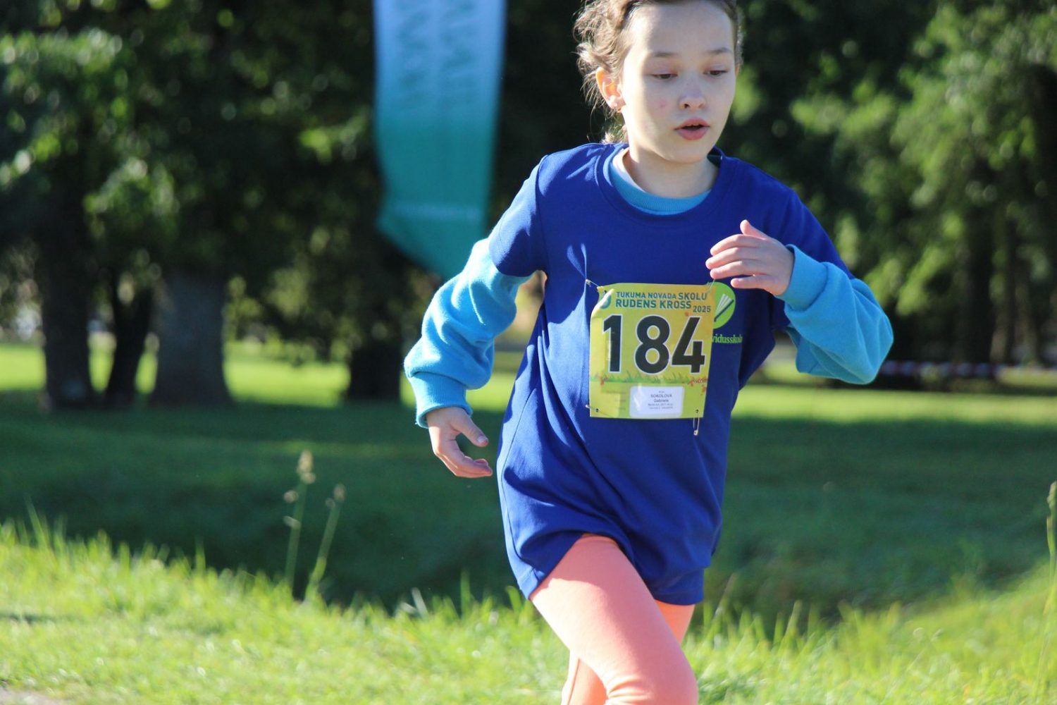 Gallery image 152061