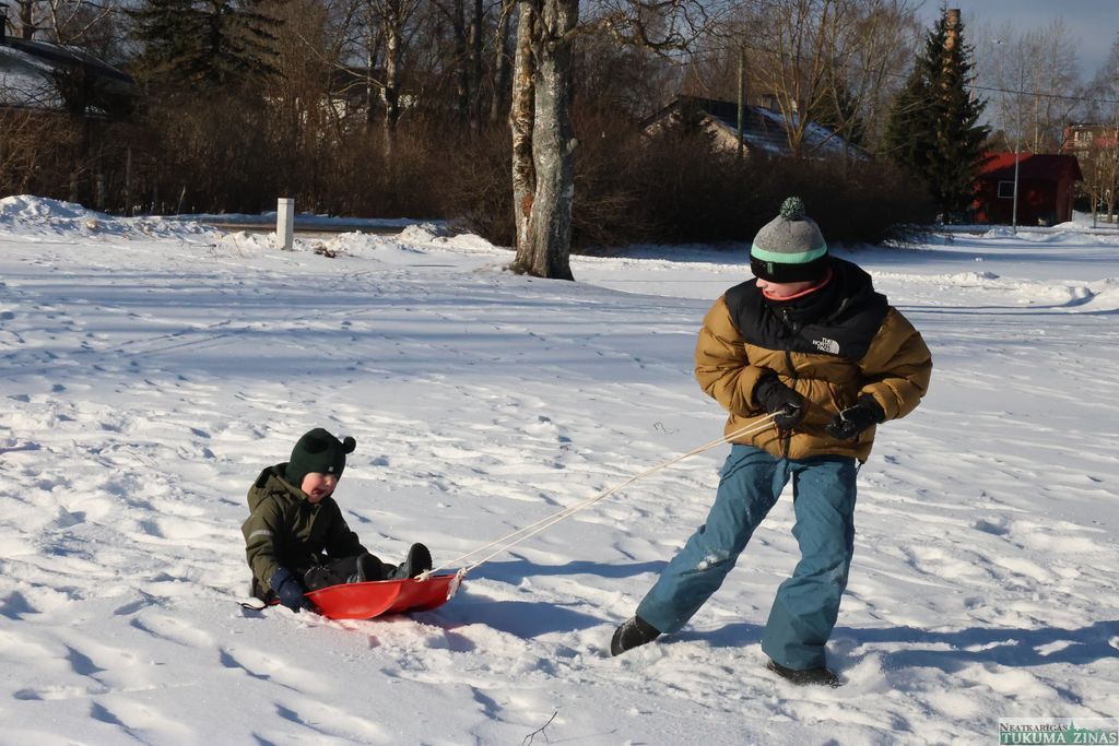 Gallery image 260739