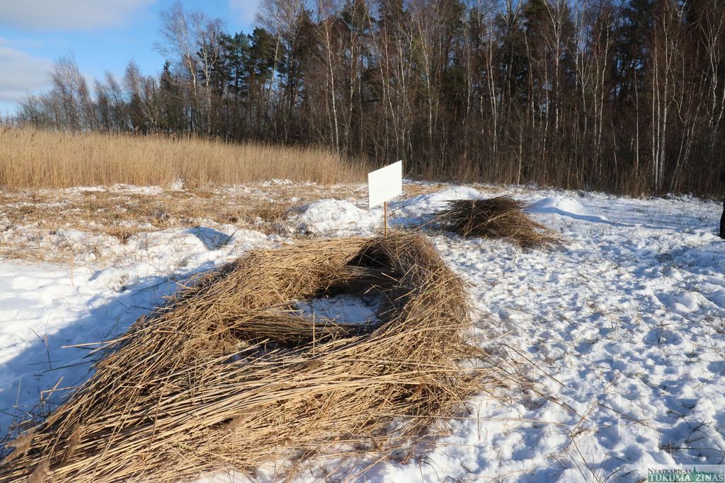 Gallery image 260738