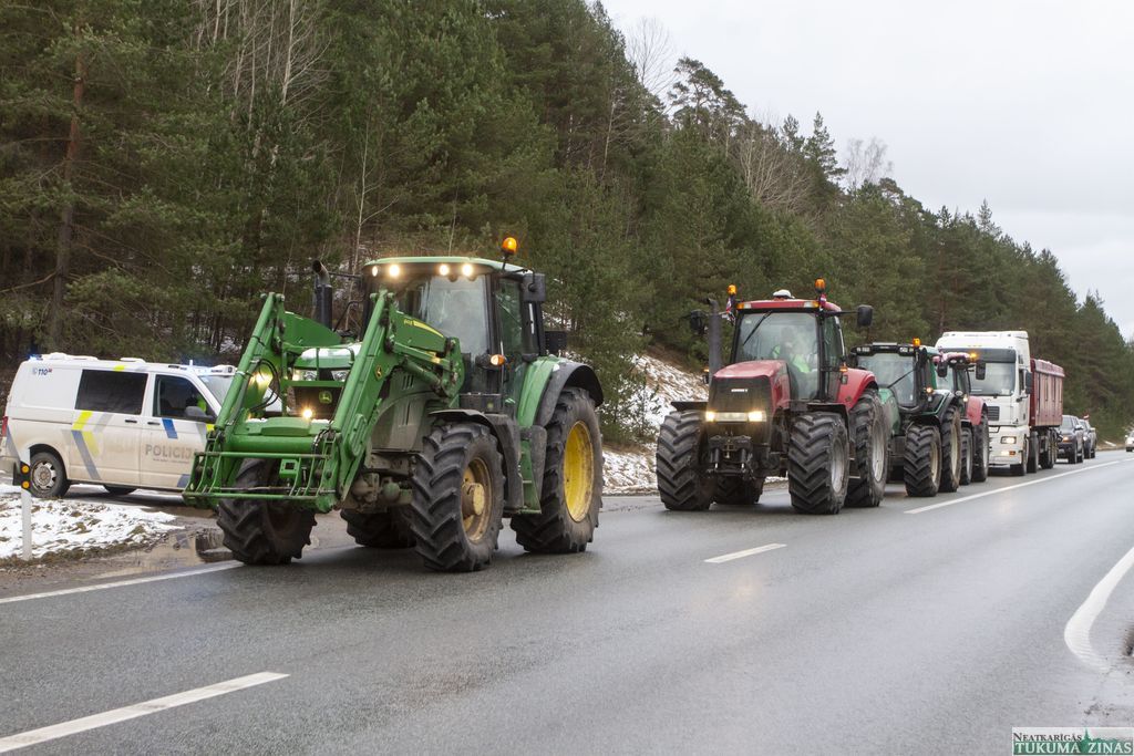 Gallery image 156181