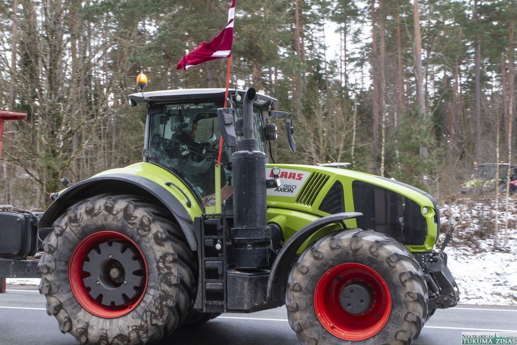 Gallery image 156185