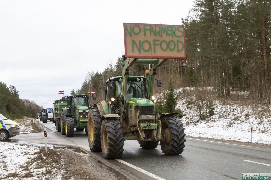 Gallery image 156184