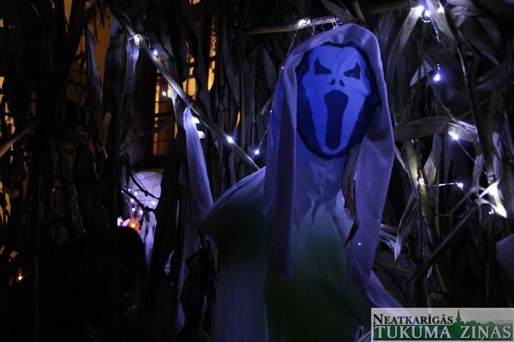 Gallery image 161261