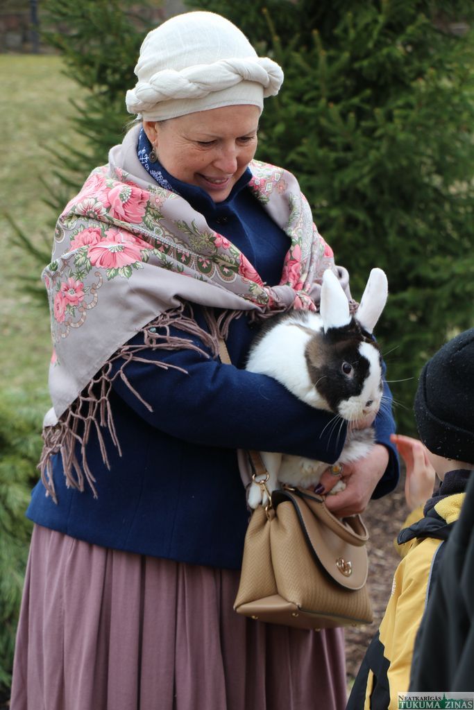 Gallery image 261728