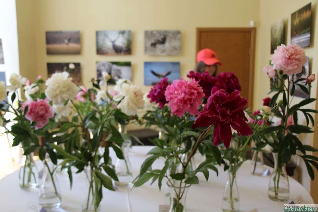 Gallery image 160409