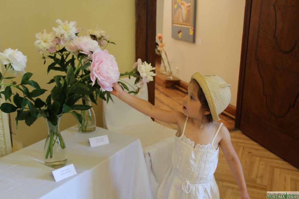 Gallery image 160410