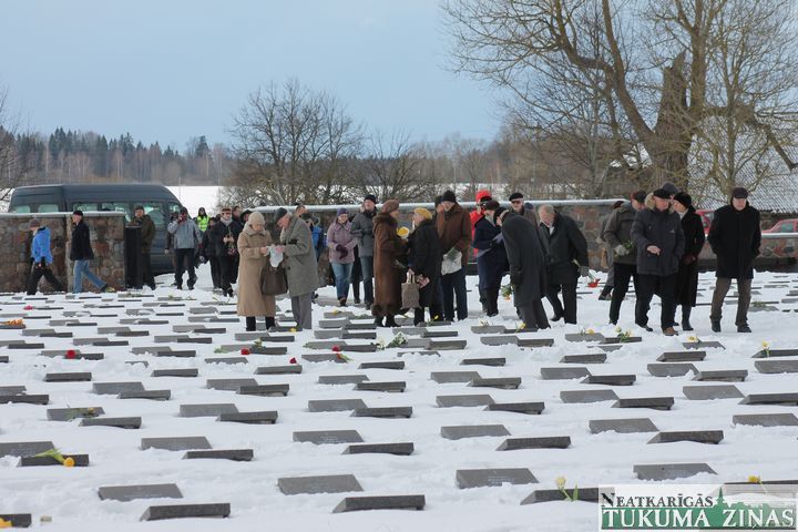 Gallery image 179885