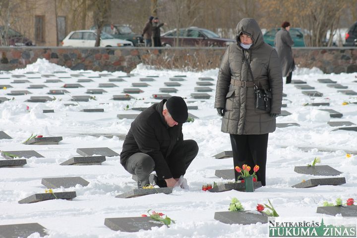 Gallery image 179884