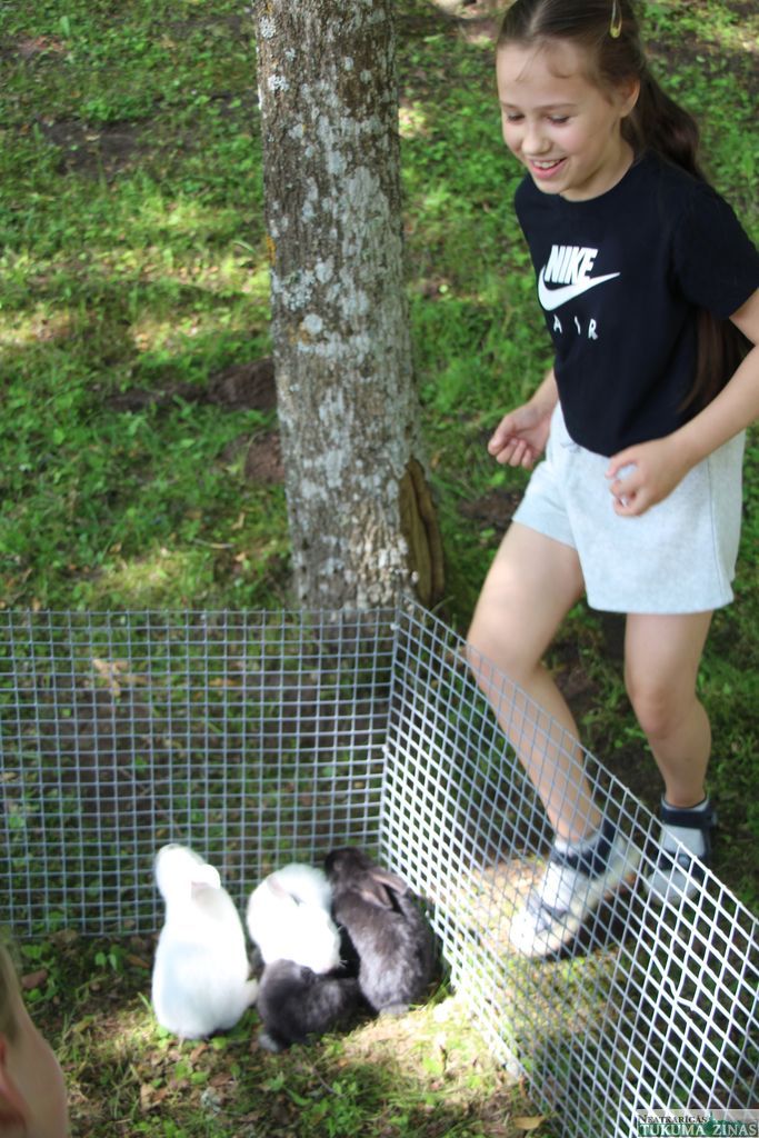 Gallery image 153756