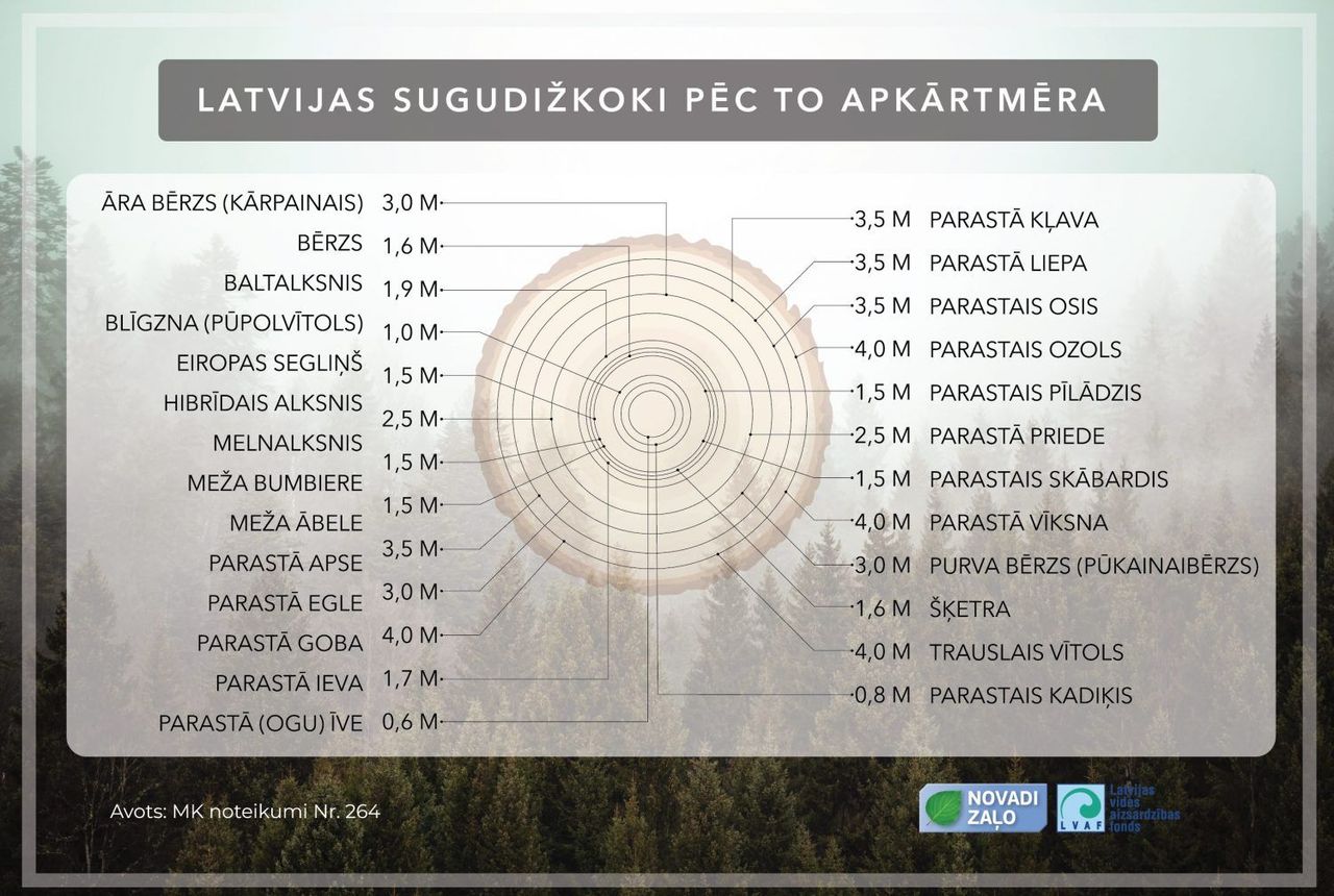 Latvija ir dižkoku zeme   
