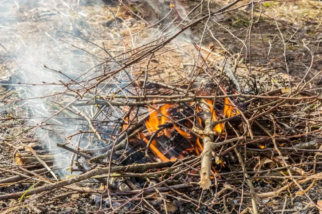 Kāpēc jādedzina, ja šķelda tik noderīga?