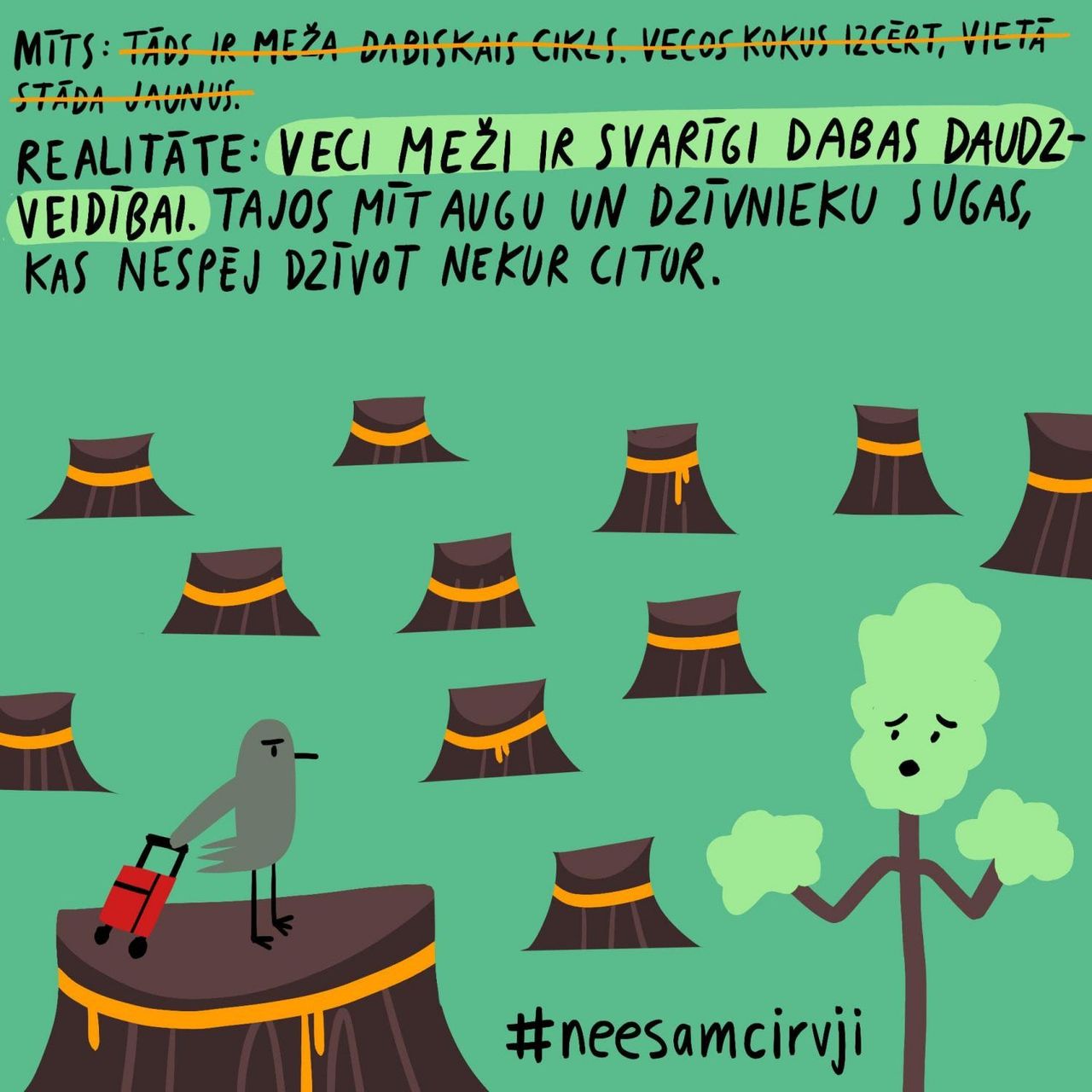 Aicina uz “kluso protestu“, lai aizsargātu vecos mežus