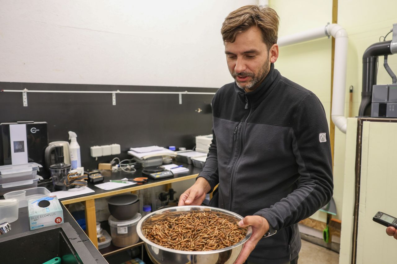 Aprites ekonomika ir arī par kāpuriem