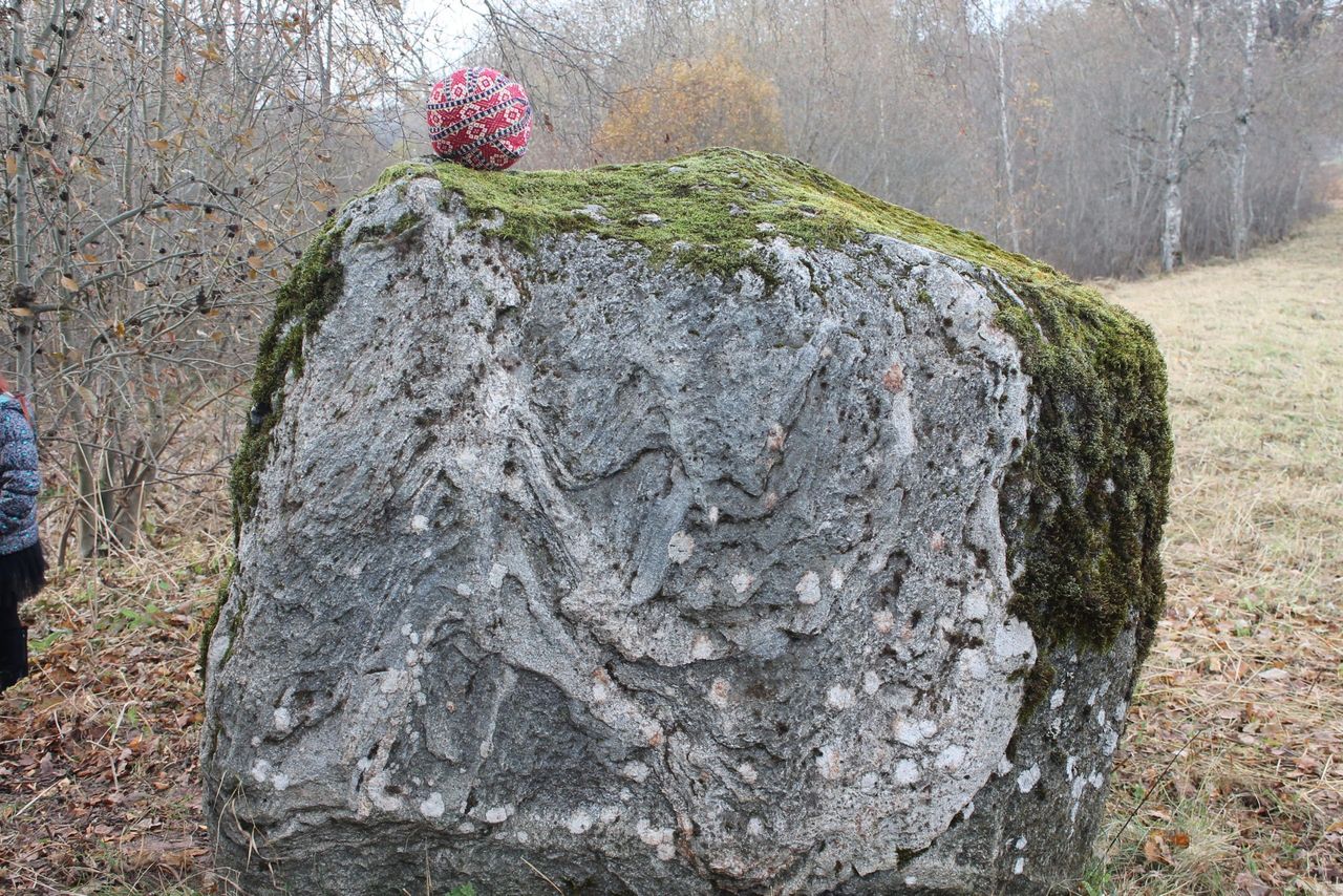 Svinam Dainu tēva dzimšanas dienu