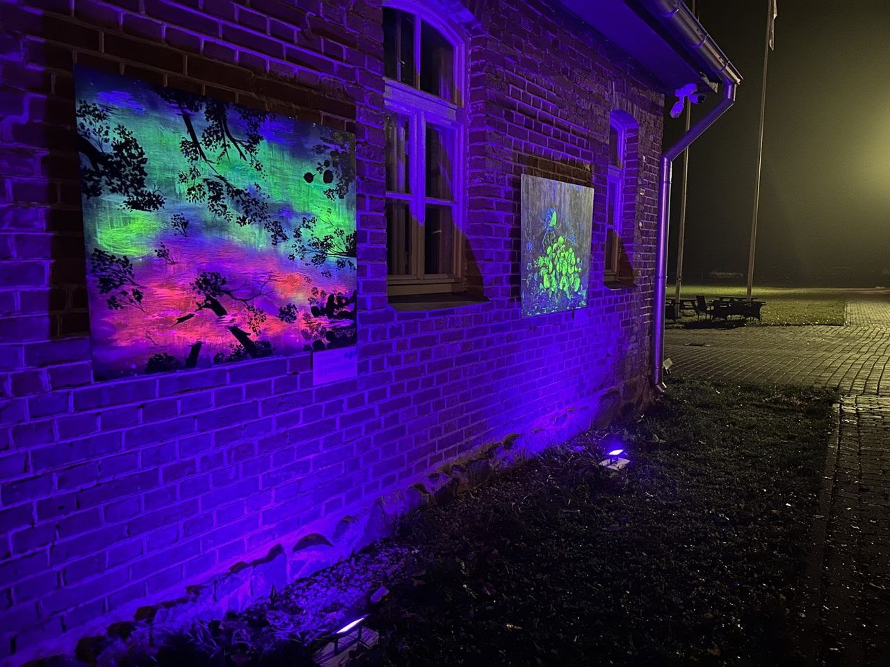 Jaunmoku pils teritorijā naktī apskatāma luminiscējošu gleznu izstāde
