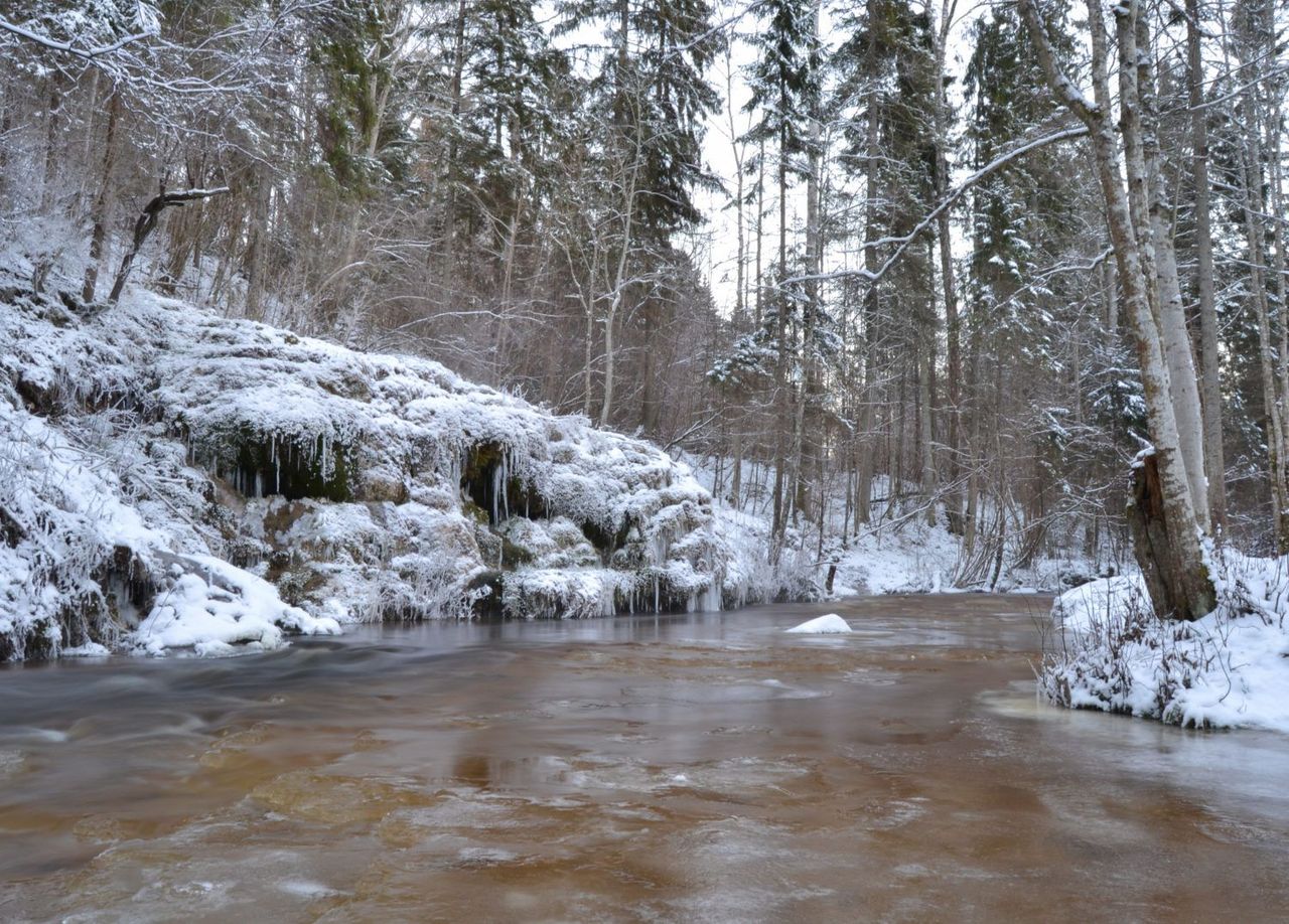 Pienākums pret vietu, kur dzīvo