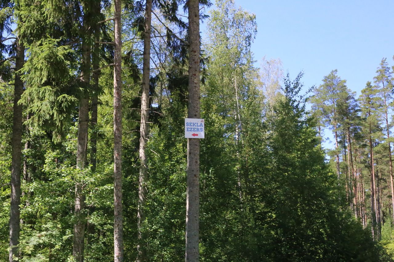 Sekļa peldvieta - atkal pieejama 