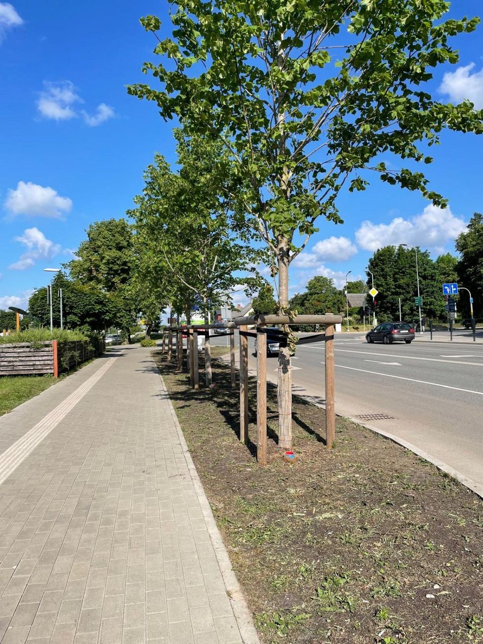 Kurzemes ielā, pļaujot zāli, bojāti liepu stumbri.