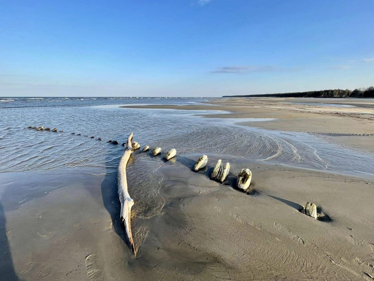 Atkāpjoties jūrai, Bērzciemā atklājies kuģa vraks