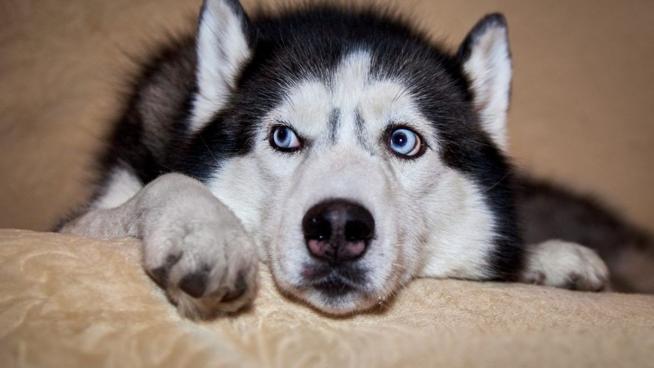 Kādi jauniešu projekti atbalstīti Tukumā?