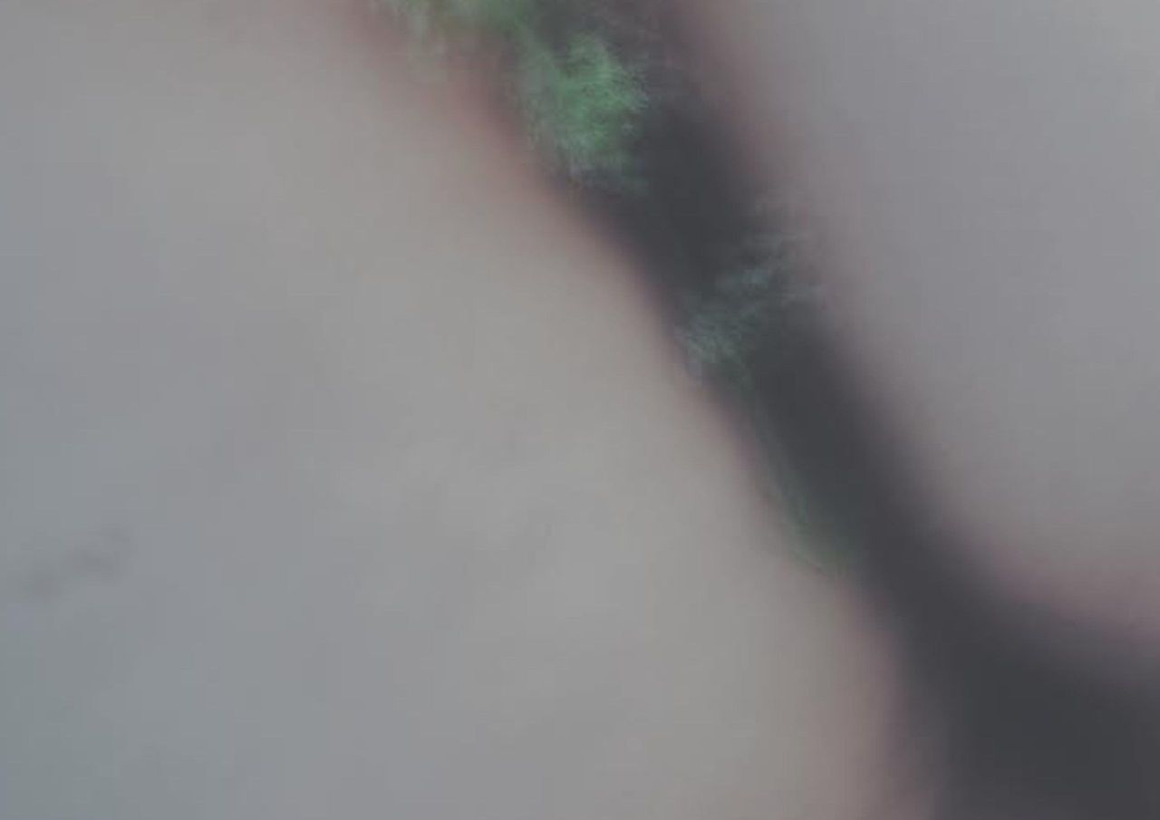 Izstāžu sēriju Plieņciemā turpina māksliniece Paulīne Kalniņa