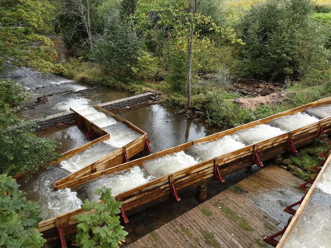 Upē viens nav karotājs