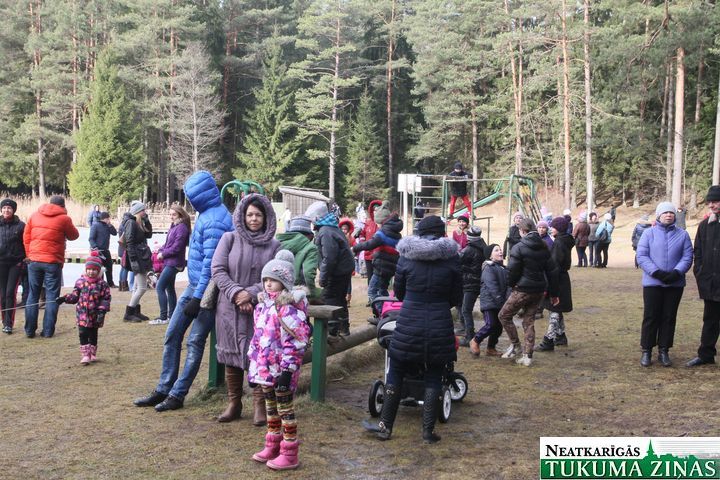 Gallery image 177558