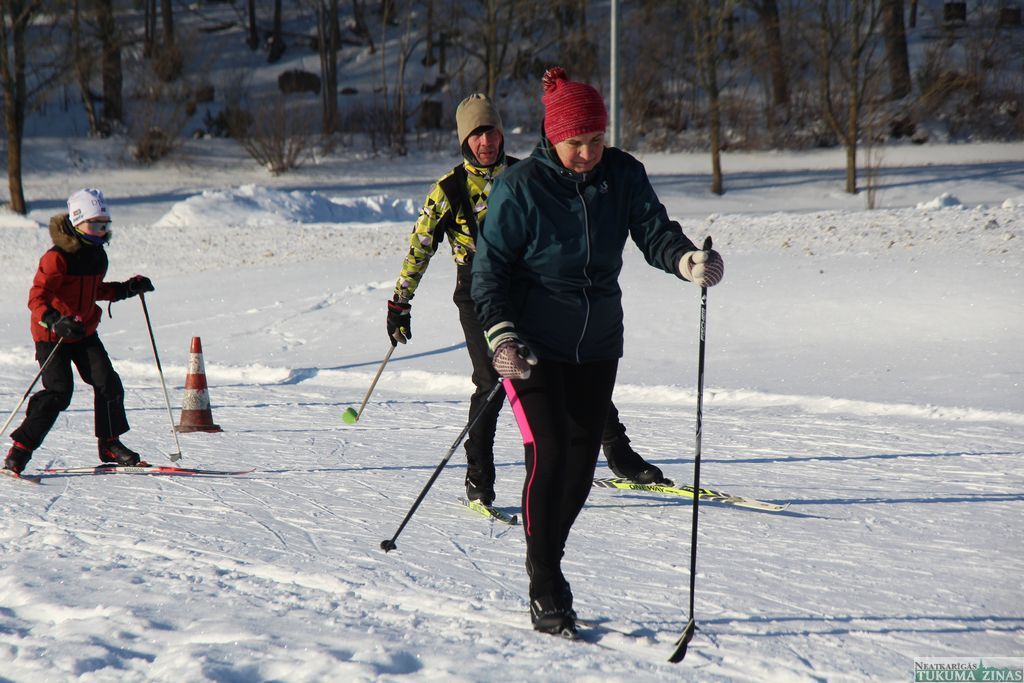 Gallery image 260556