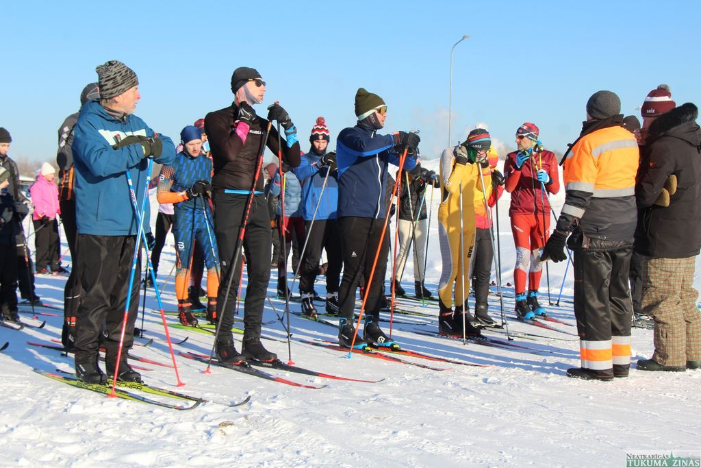 Gallery image 260548