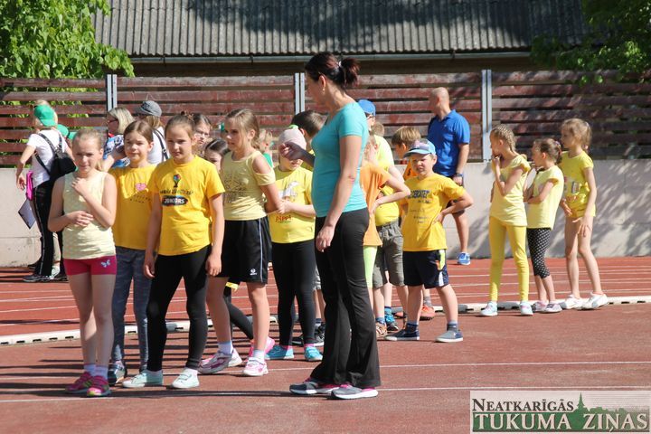 Gallery image 172346